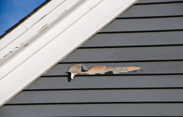 Best Wood Siding Installation  in San Rafael, CA